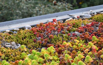 the cost of Ardentallen green roof installation